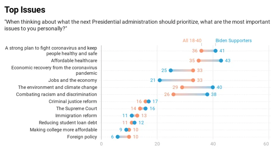 Visualization showing voters top issues 
