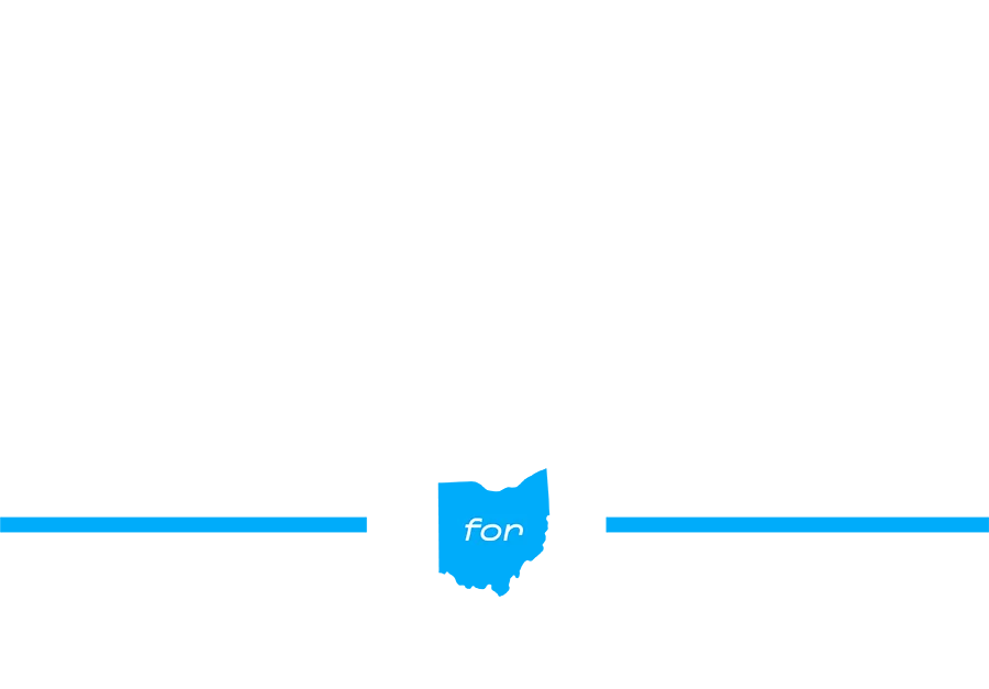 Dani Isaacsohn Campaign Logo